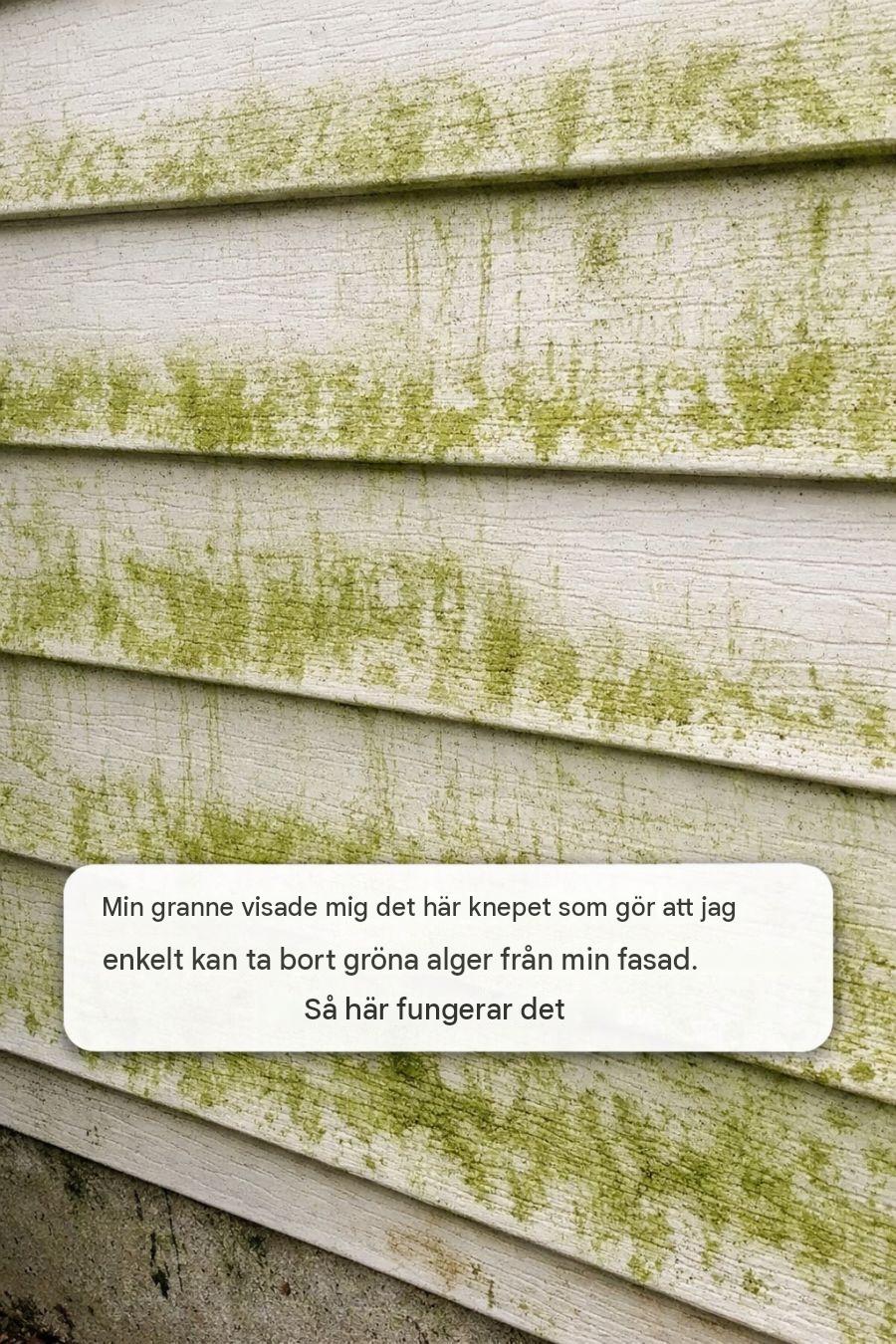 Min granne lärde mig det här knepet som enkelt tar bort gröna alger från min fasad. Så här fungerar det.